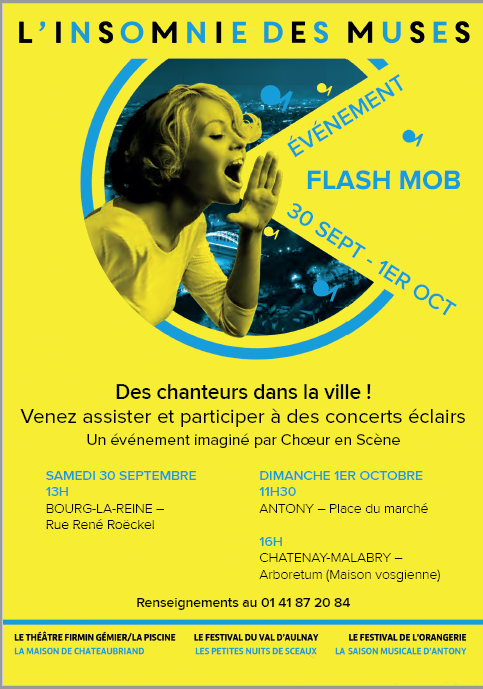 Flash mob Insomnie des muses